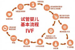 泰國(guó)做三代試管嬰兒，圓您生育夢(mèng)想的新選擇