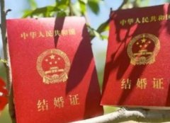 泰國試管嬰兒成功率排行榜(三代試管嬰兒助孕機(jī)構(gòu))