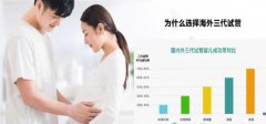 泰國(guó)做個(gè)試管嬰兒多少錢(qián)？全面解析費(fèi)用與流程