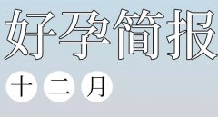 格魯吉亞單身生子全攻略：政策、費(fèi)用、流程與戶口問題詳解
