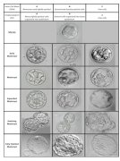 泰國頂級試管醫(yī)院深度解析：成功率、環(huán)境與費(fèi)用全攻略
