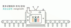 如何懷孕雙胞胎?你的懷雙胎幾率高嗎?美國(guó)試管嬰兒專家告訴你!|試管知識(shí)
