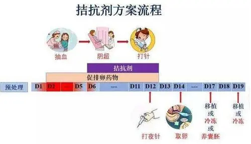 amh偏高或者偏低選擇抗結(jié)劑方案促排效果會(huì)更好