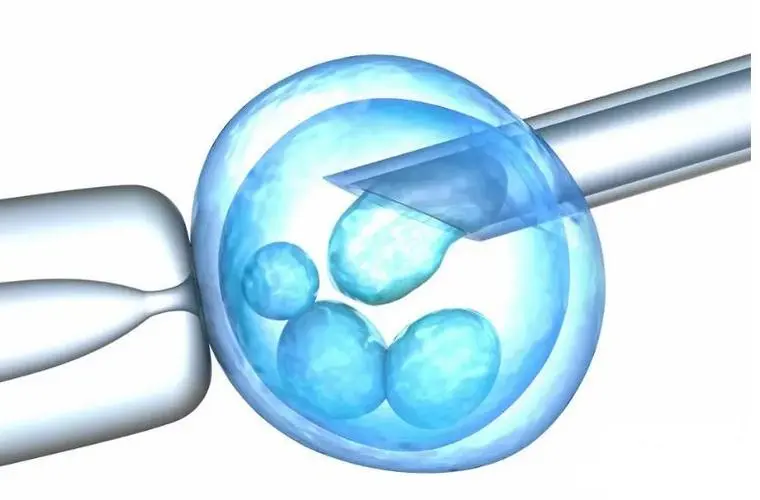 廣州三代試管供卵助孕全流程：附費(fèi)用明細(xì)清單一覽表