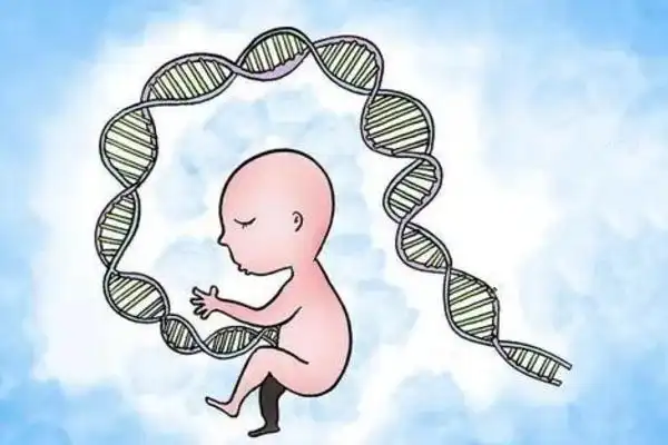 廣州做三代試管嬰兒多少錢?附包生男孩機(jī)構(gòu)推薦