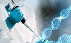 地中海貧血做試管能不能避免傳染給孩子?附三代試管費(fèi)用明細(xì)分享