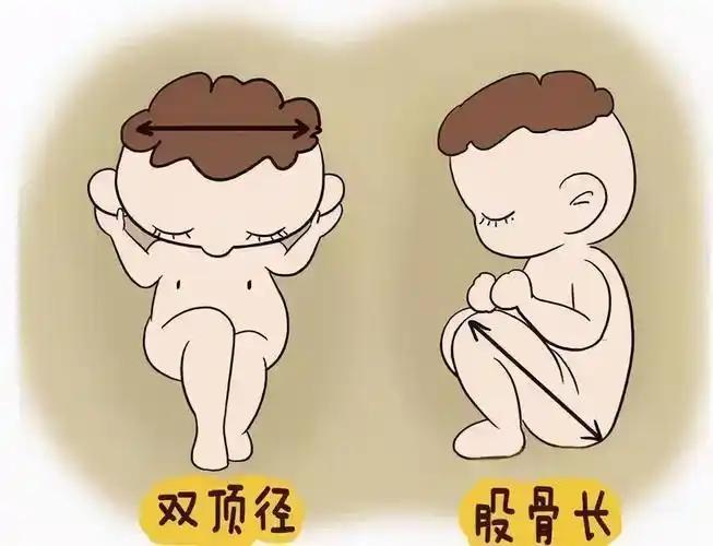 男孩女孩雙頂徑對照表分享，據(jù)說雙側(cè)寬度能辨別性別