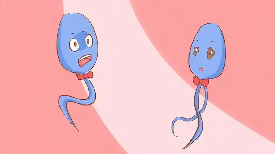 懷孕怎么判斷寶寶性別，這九個方法會告訴你答案